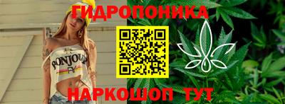 тгк Дубна