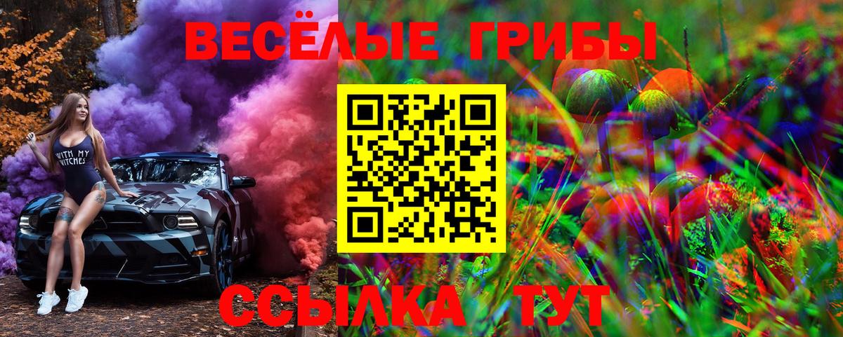 Псилоцибиновые грибы Psilocybe Людиново