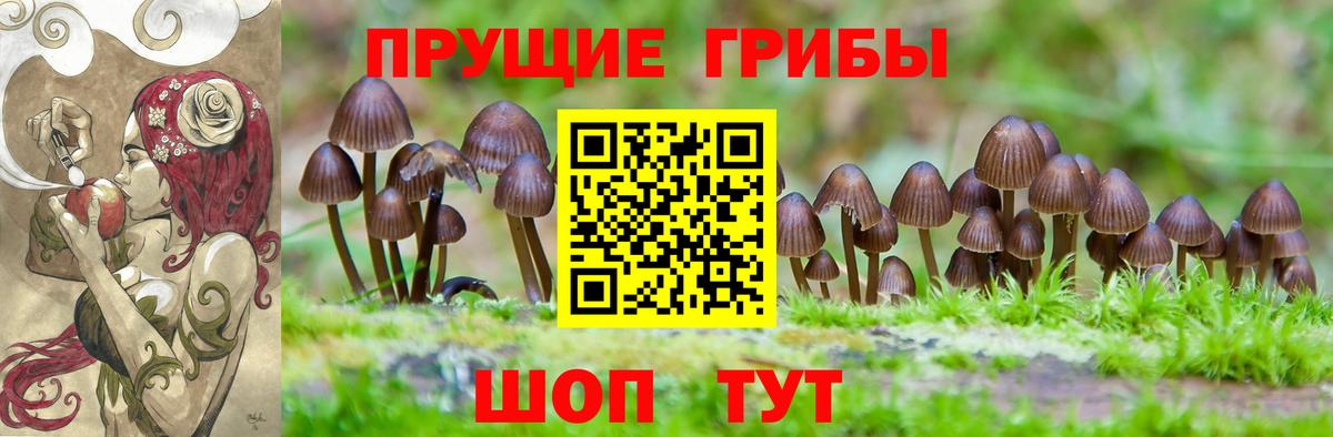 Псилоцибиновые грибы MAGIC MUSHROOMS  Вход с VPN  Людиново 